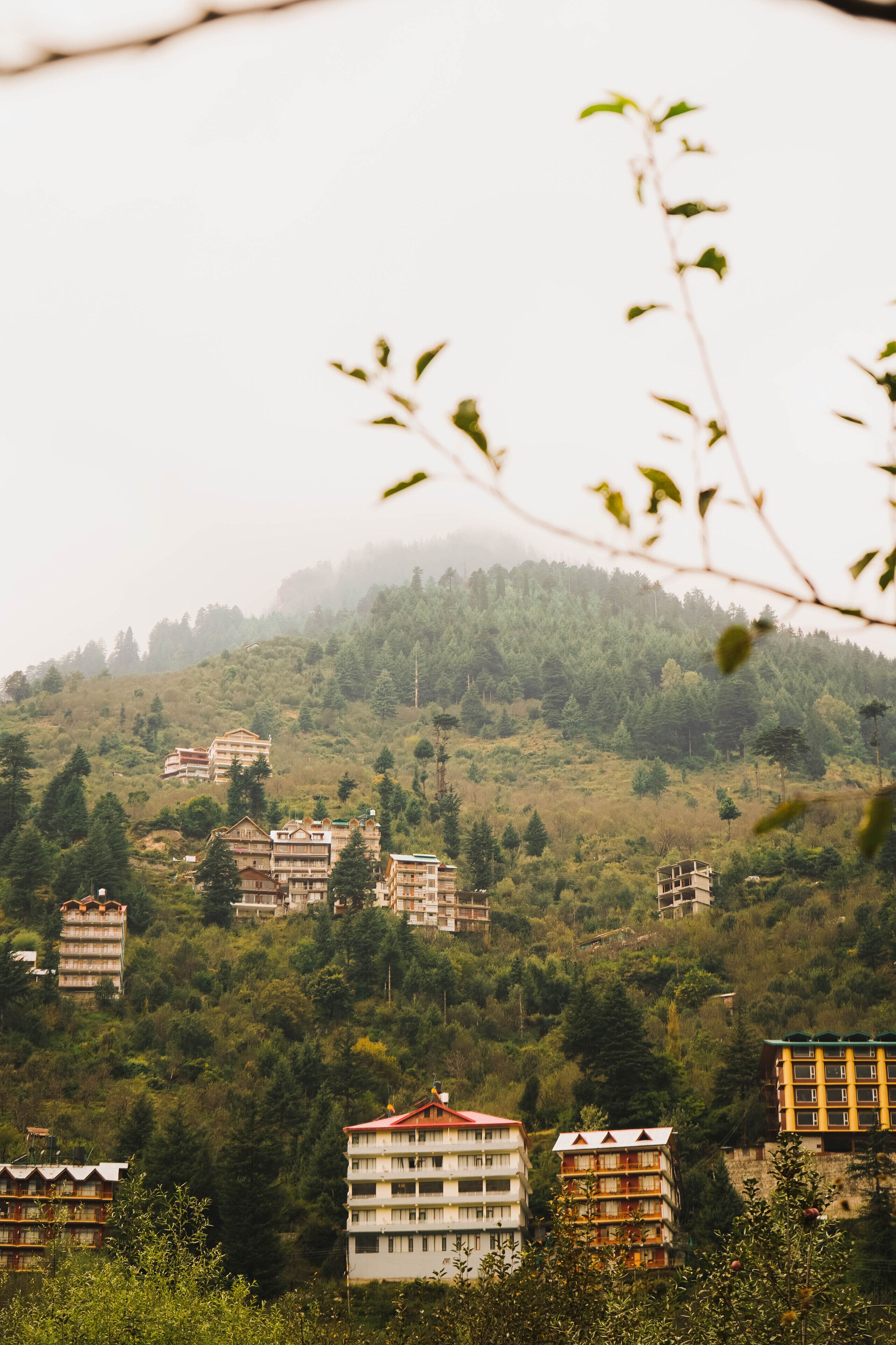 Hipostel Manali