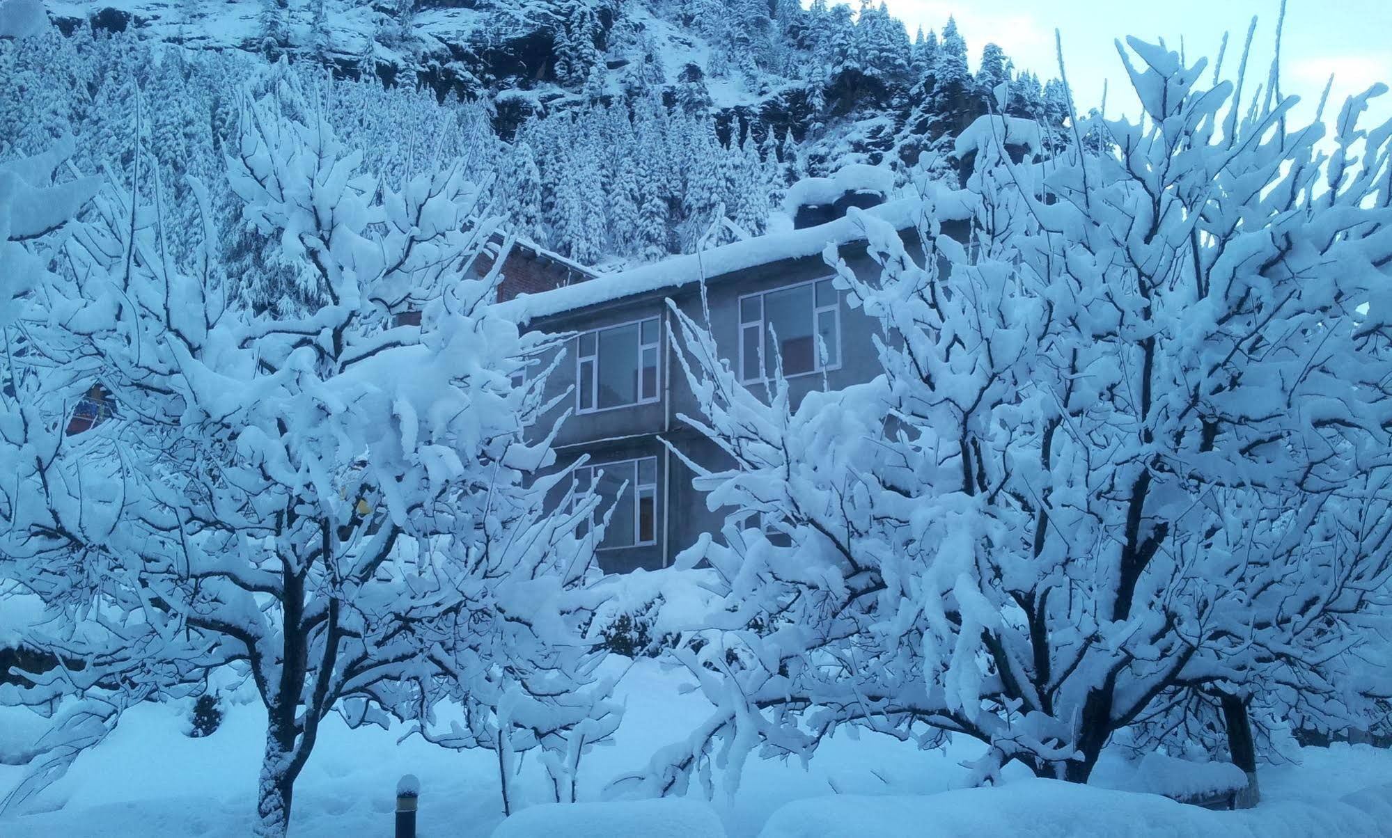 Honeymoon Inn Manali