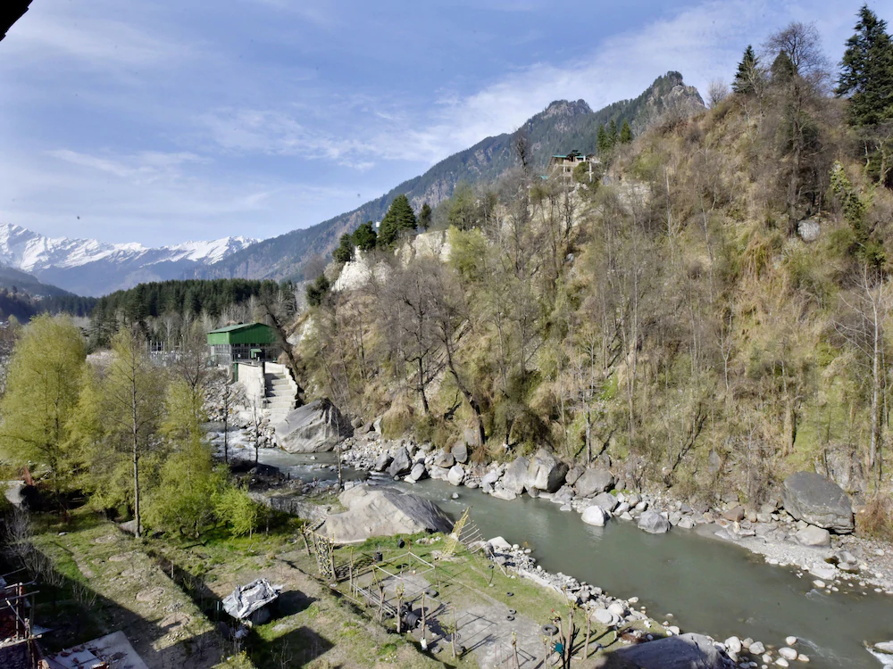Hotel Avenue Manali