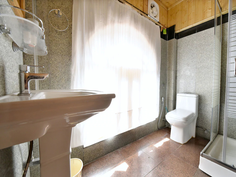 Hotel Avenue Manali
