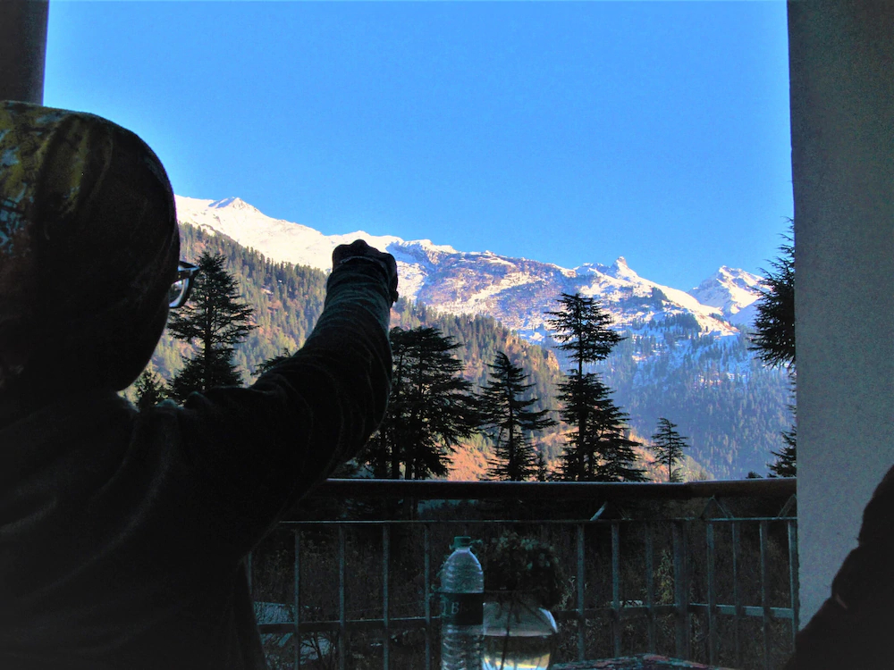 Manali Top Inn and Cafe