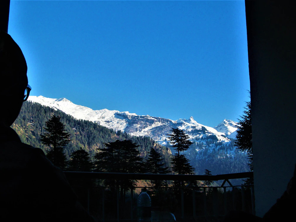 Manali Top Inn and Cafe