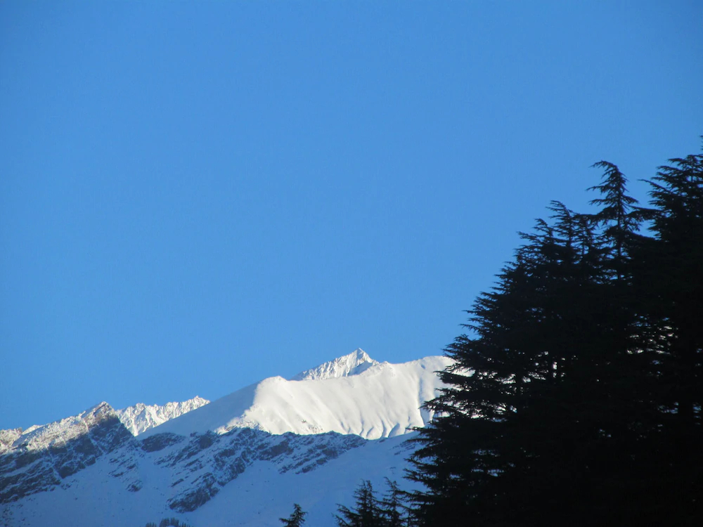 Manali Top Inn and Cafe