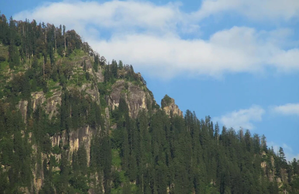 Manali Top Inn and Cafe