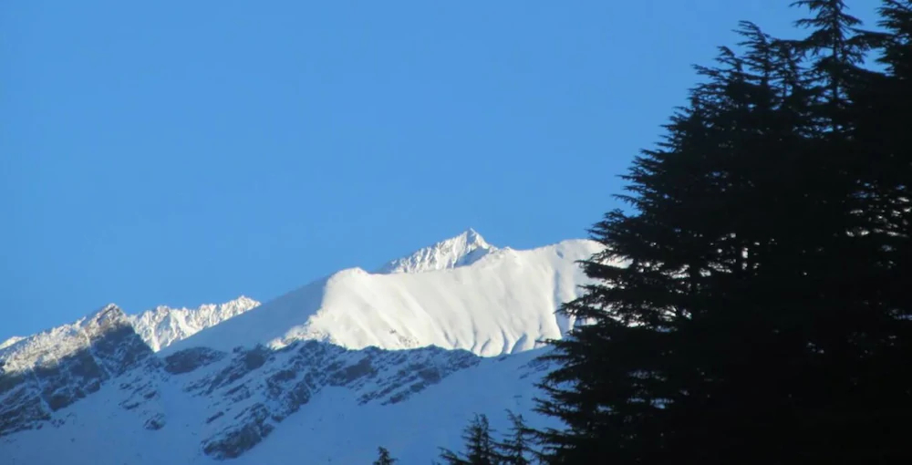 Manali Top Inn and Cafe