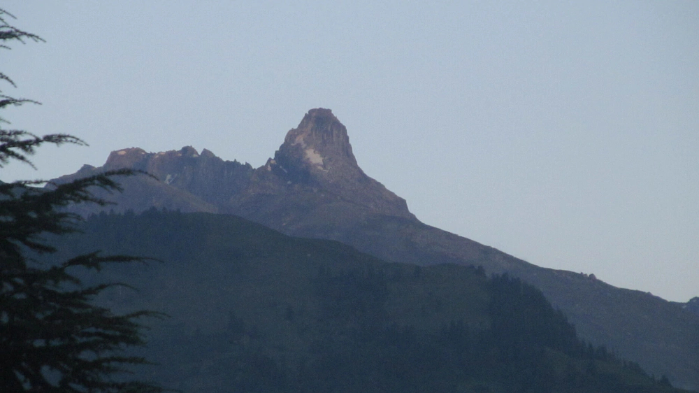 Manali Top Inn and Cafe