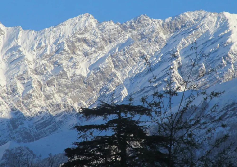 Manali Top Inn and Cafe