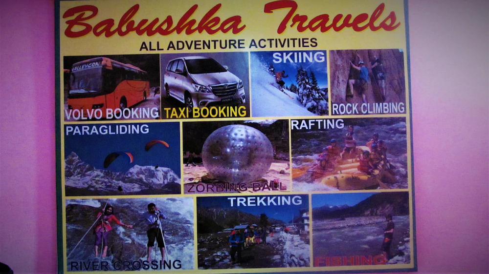 Manali Top Inn and Cafe