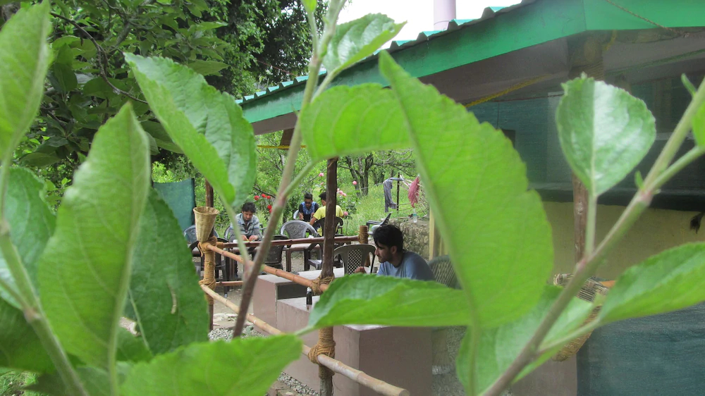 Manali Top Inn and Cafe