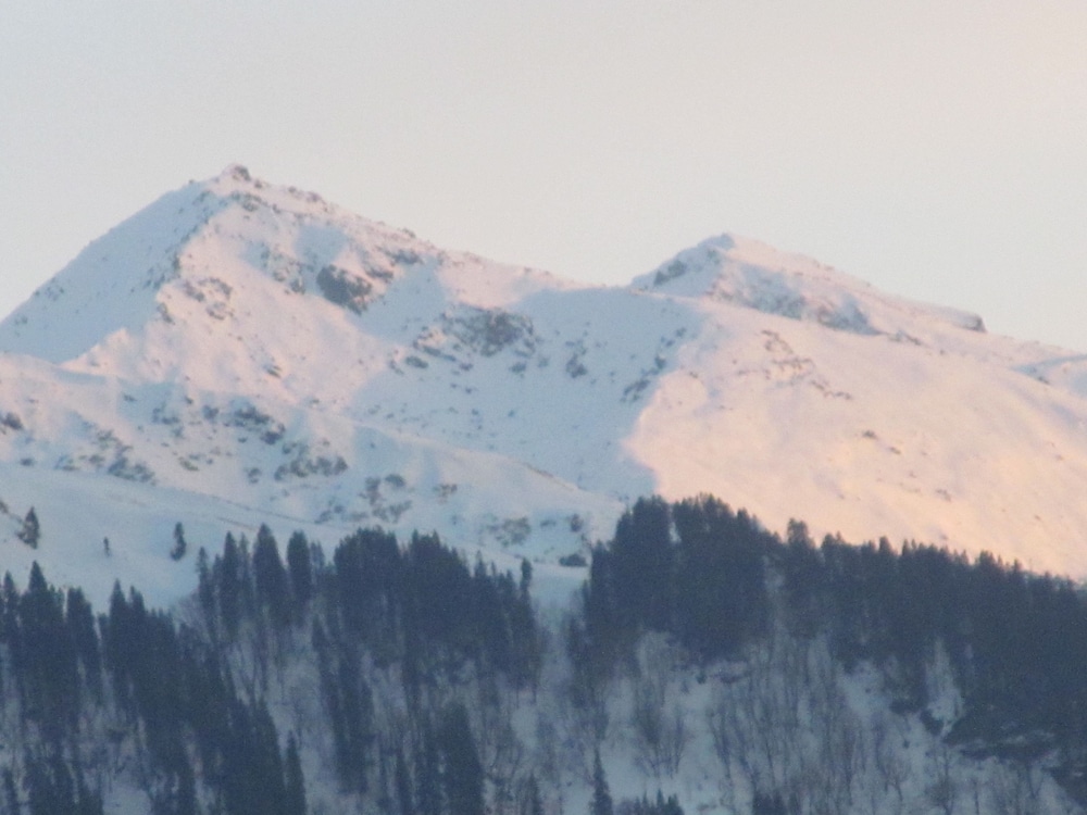 Manali Top Inn and Cafe