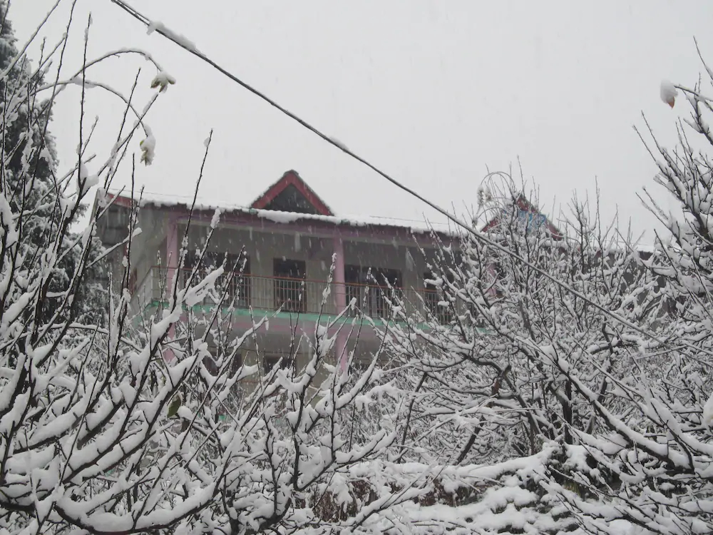 Manali Top Inn and Cafe