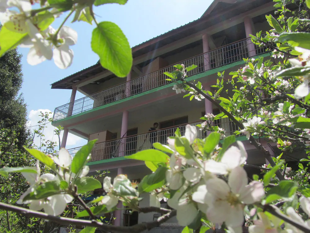 Manali Top Inn and Cafe