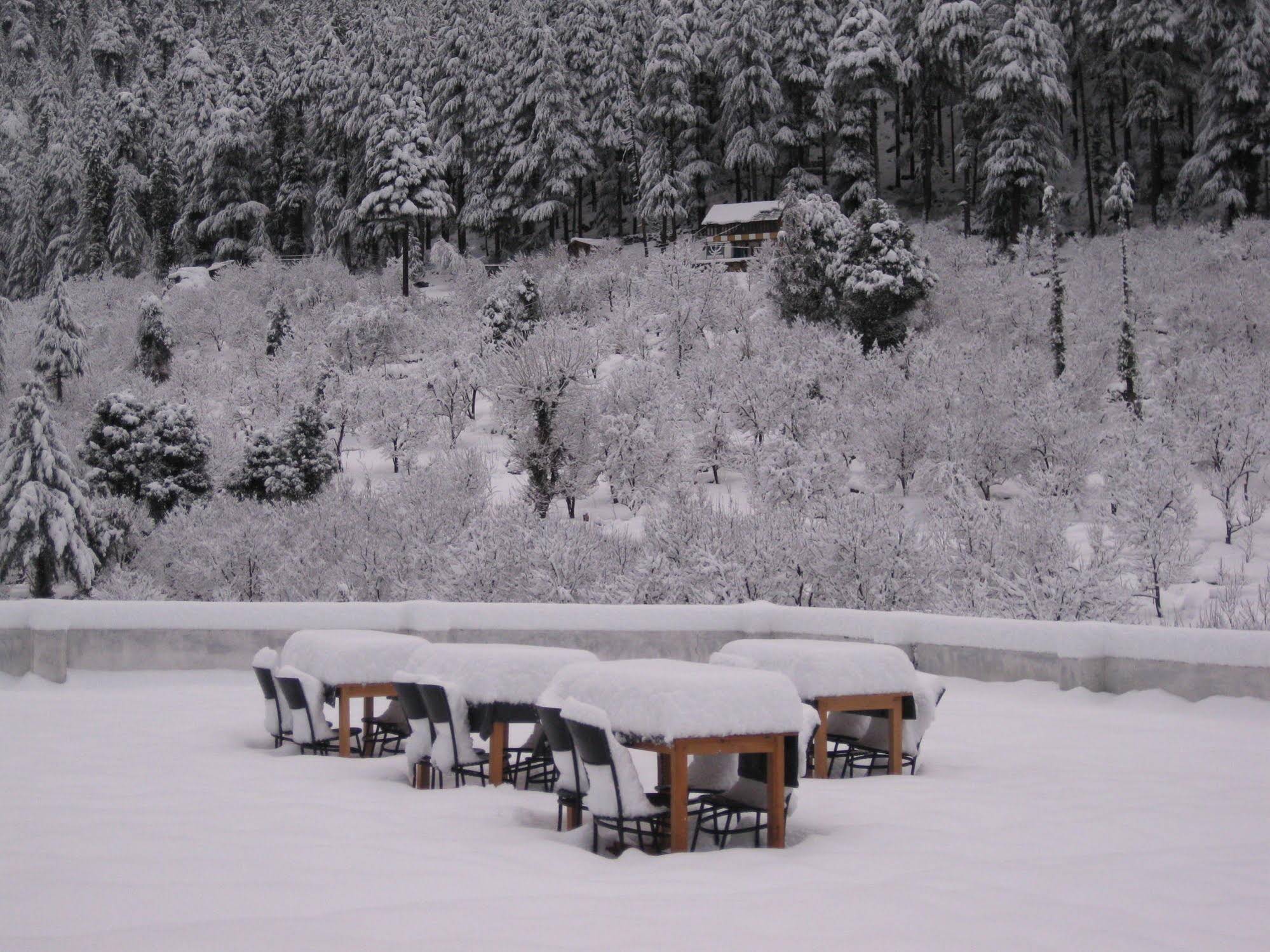 Sarthak Resort