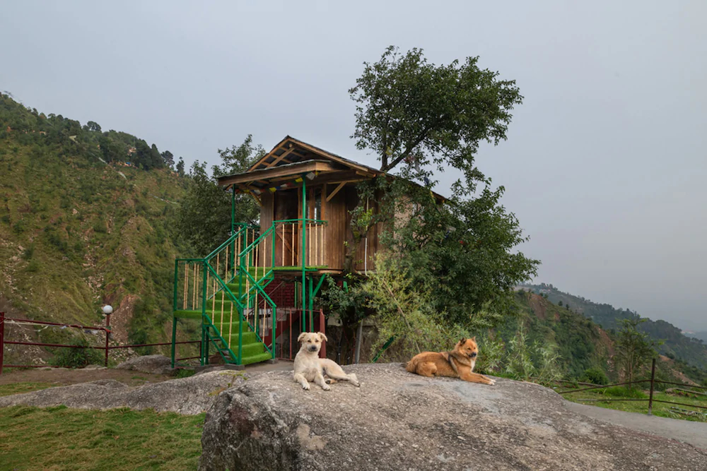 Triund Camps