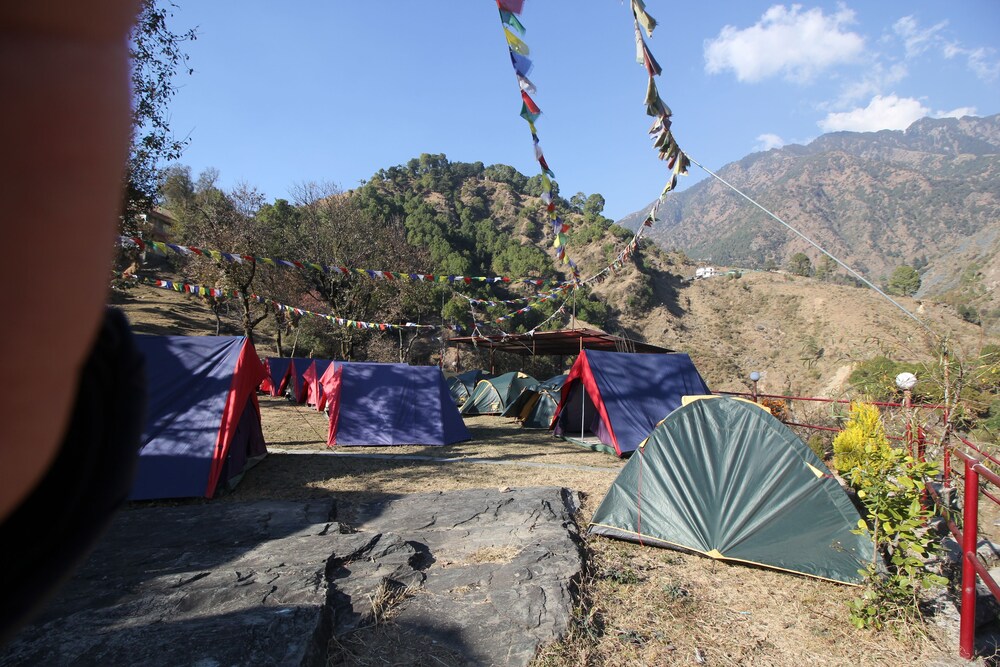 Triund Camps