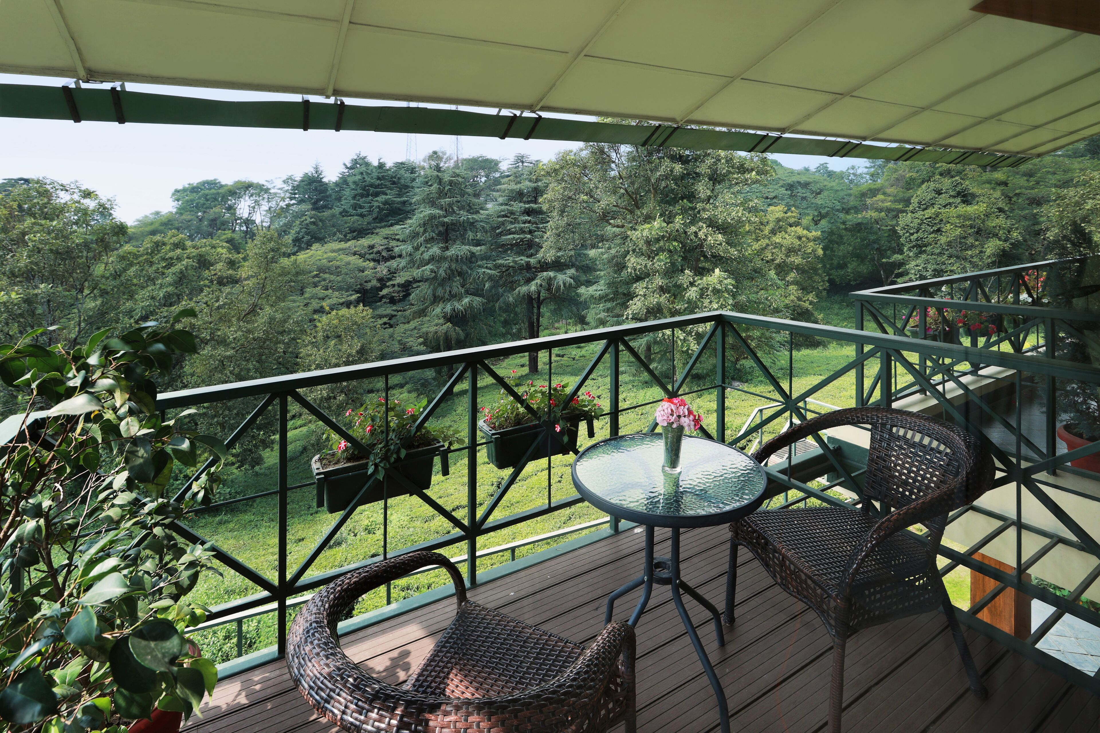 Lamrin Norwood Green, Palampur