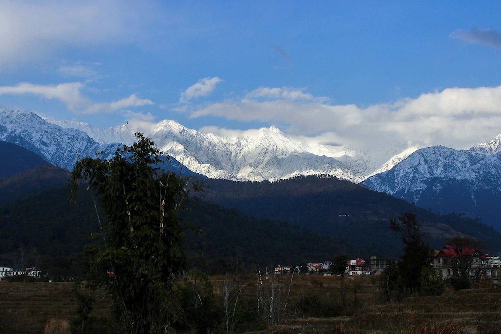 Pushpangan Menage