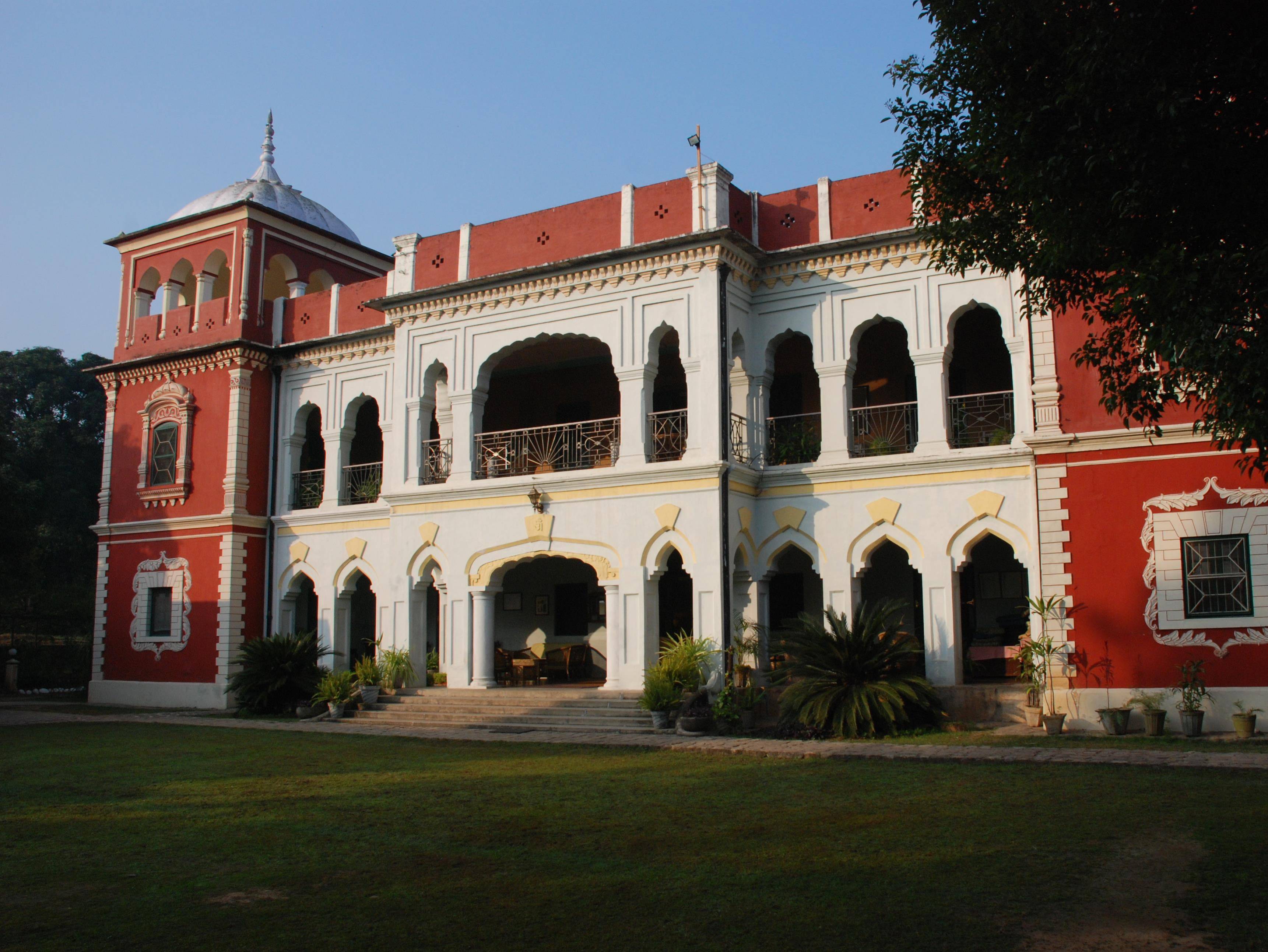 The Judge's Court
