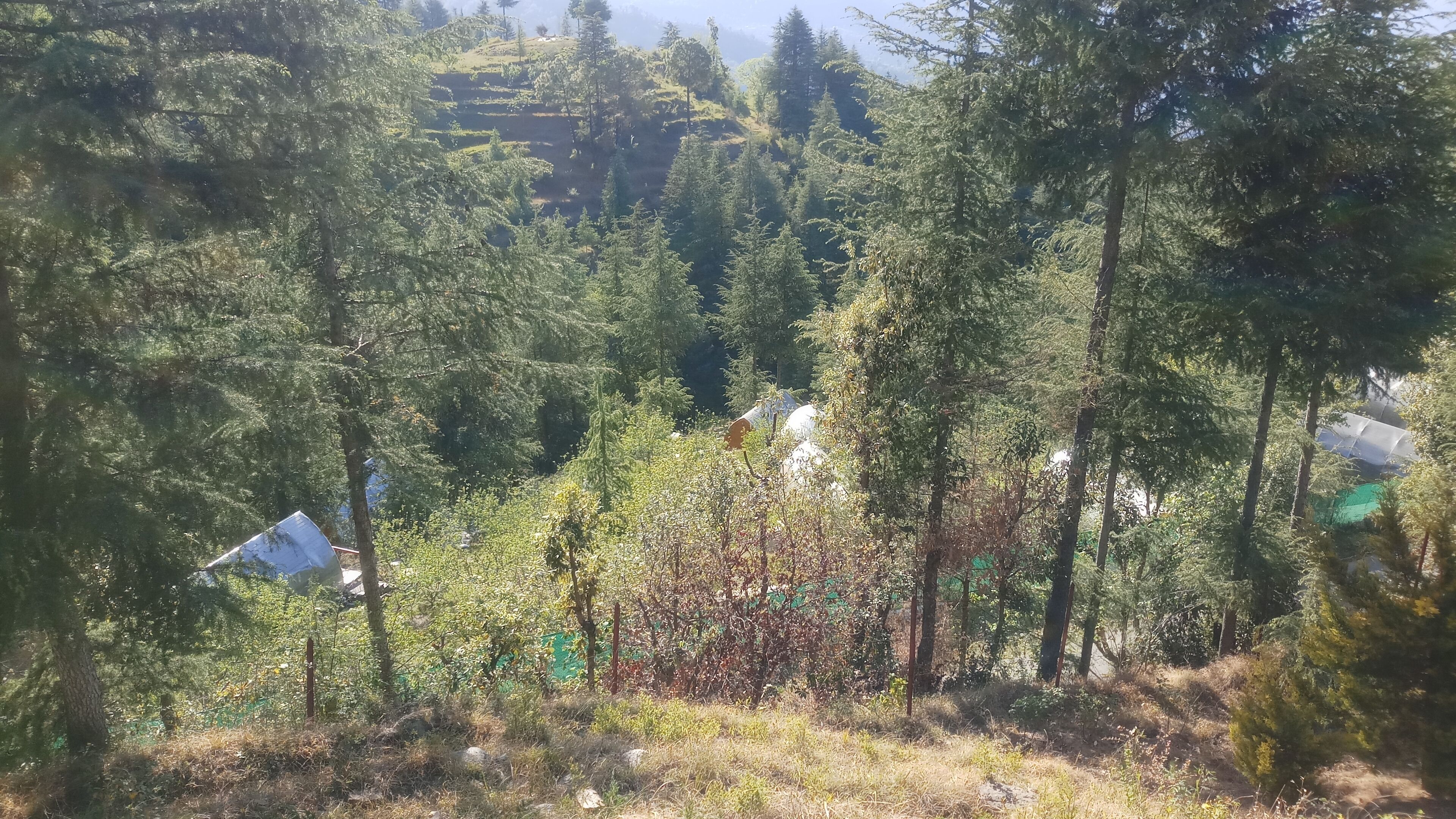Clarks Exotica Nature Resort Rajgarh