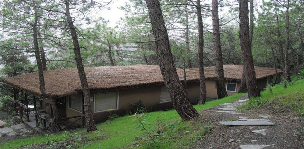 Aamod Resort