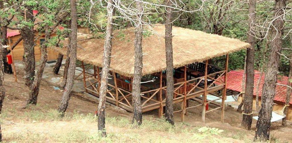 Aamod Resort