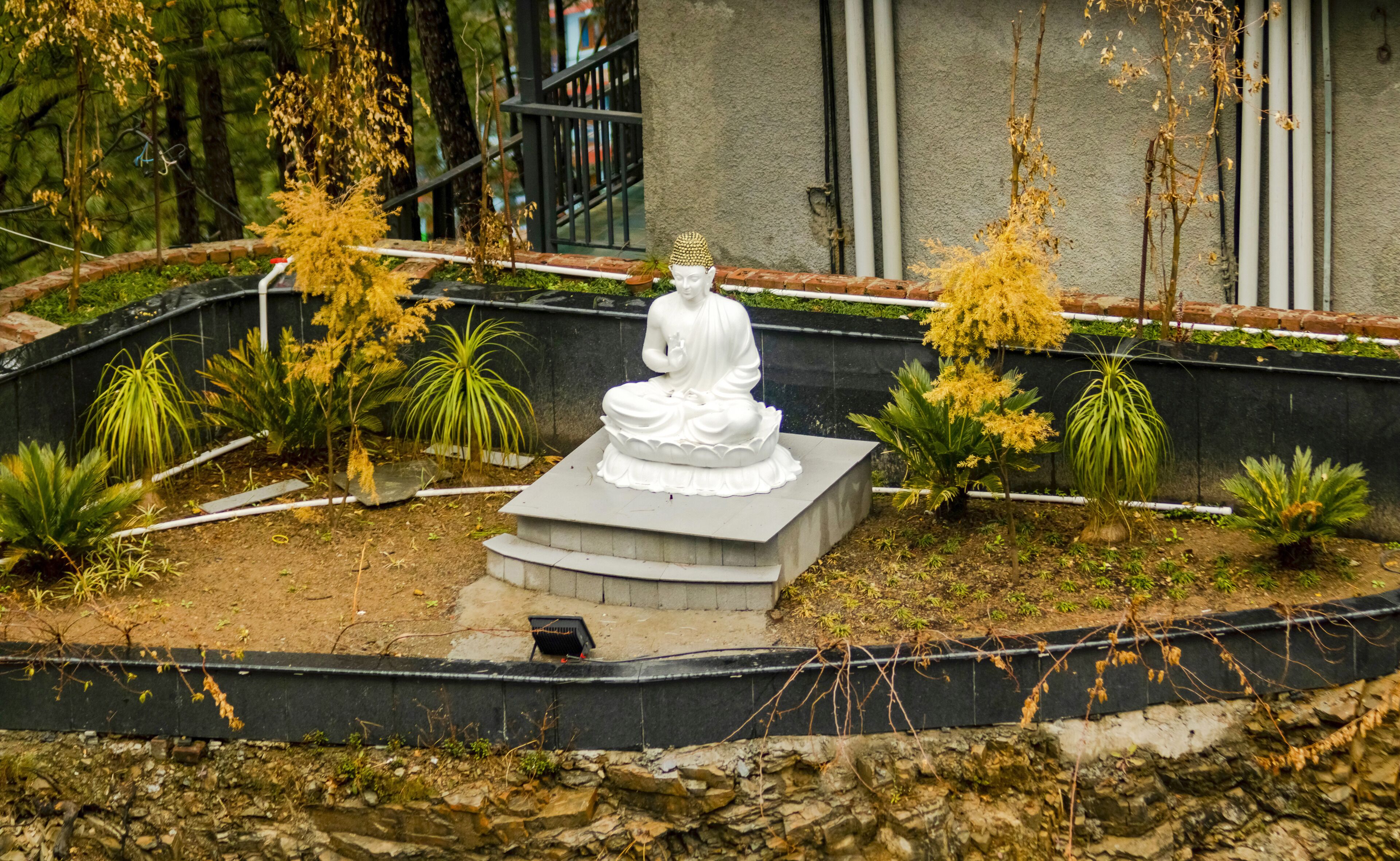 Golden Fern Resort