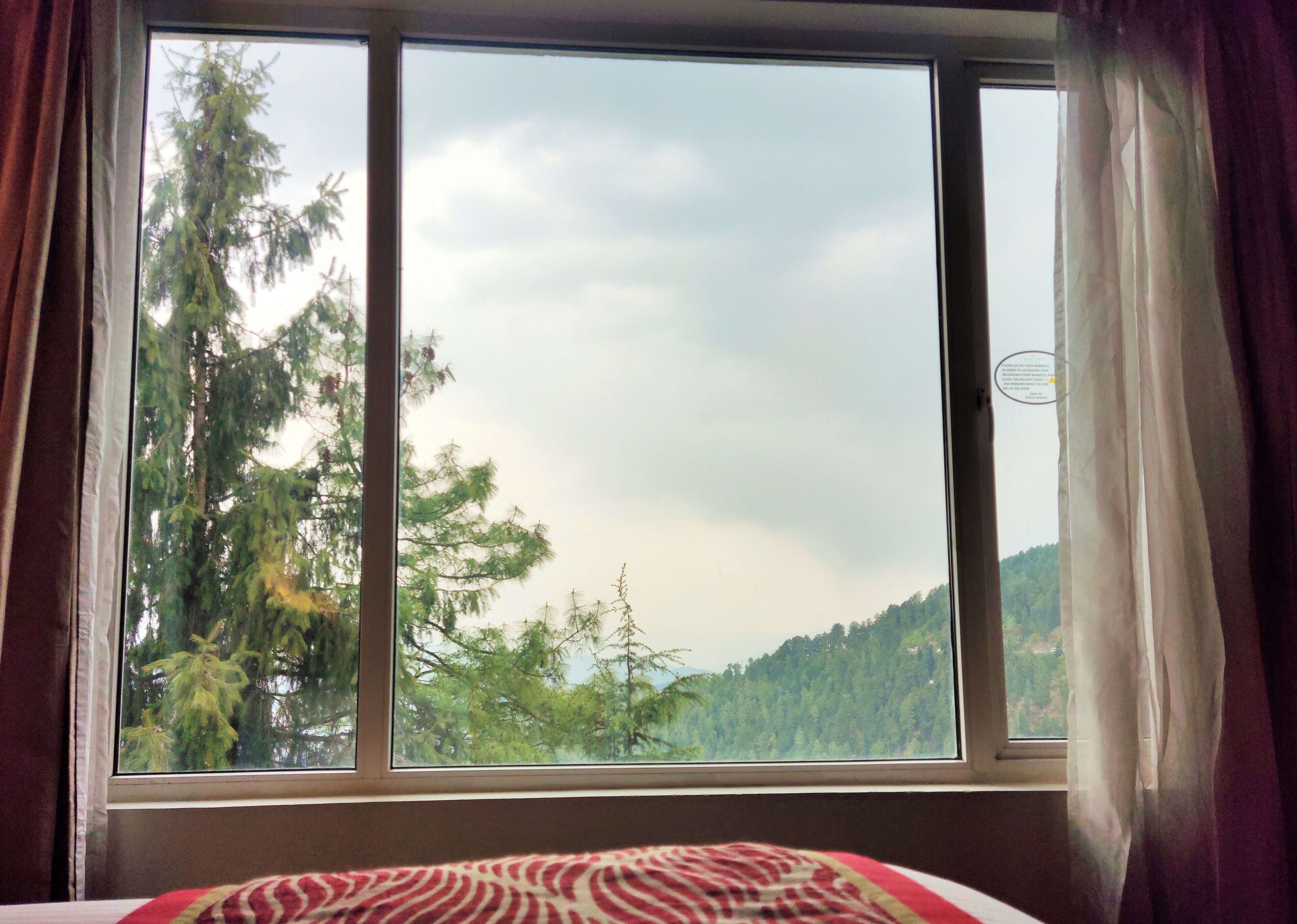 Royal Tulip Shimla - Kufri Hills