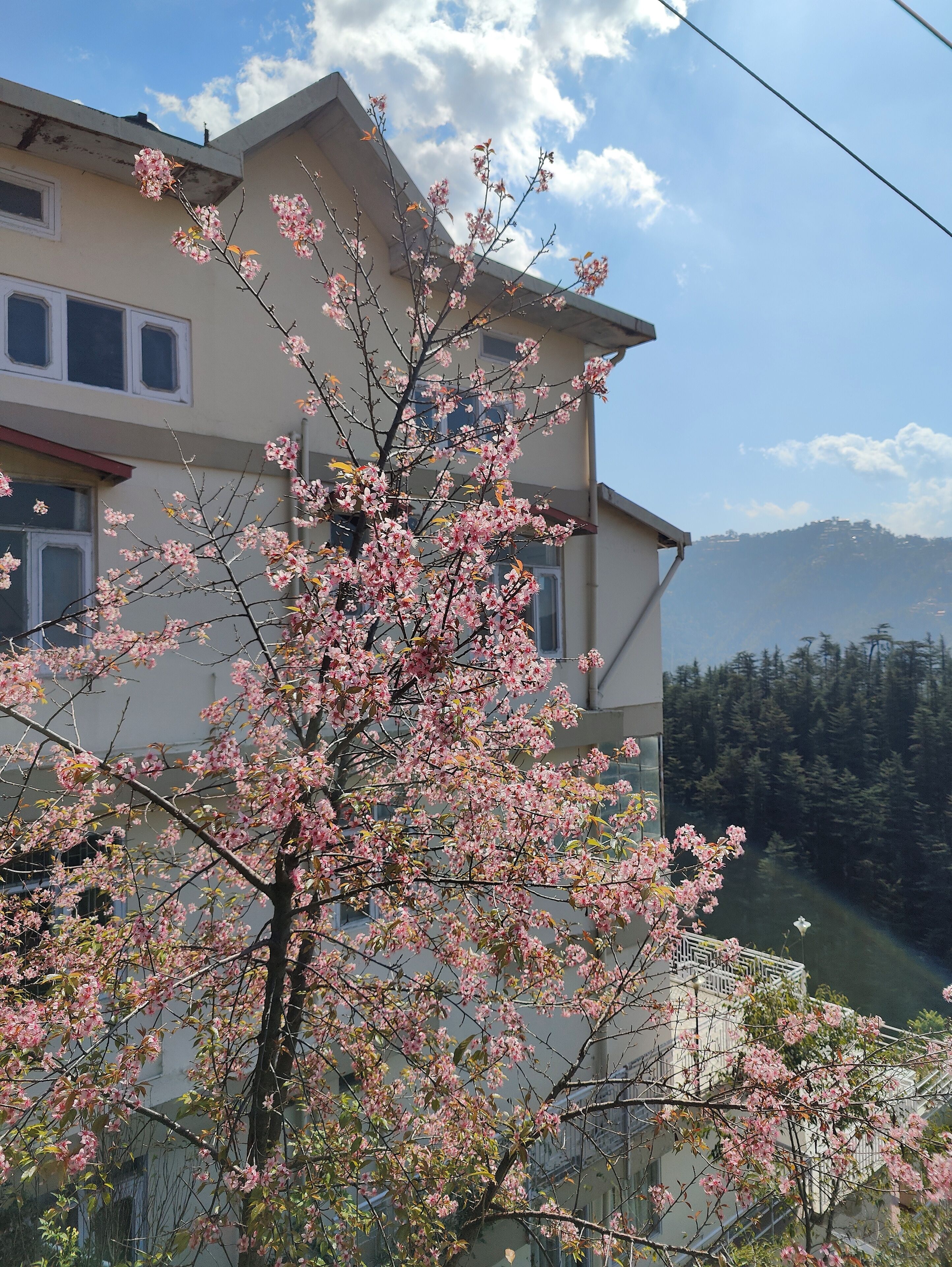 Vatsalyam Home Stay