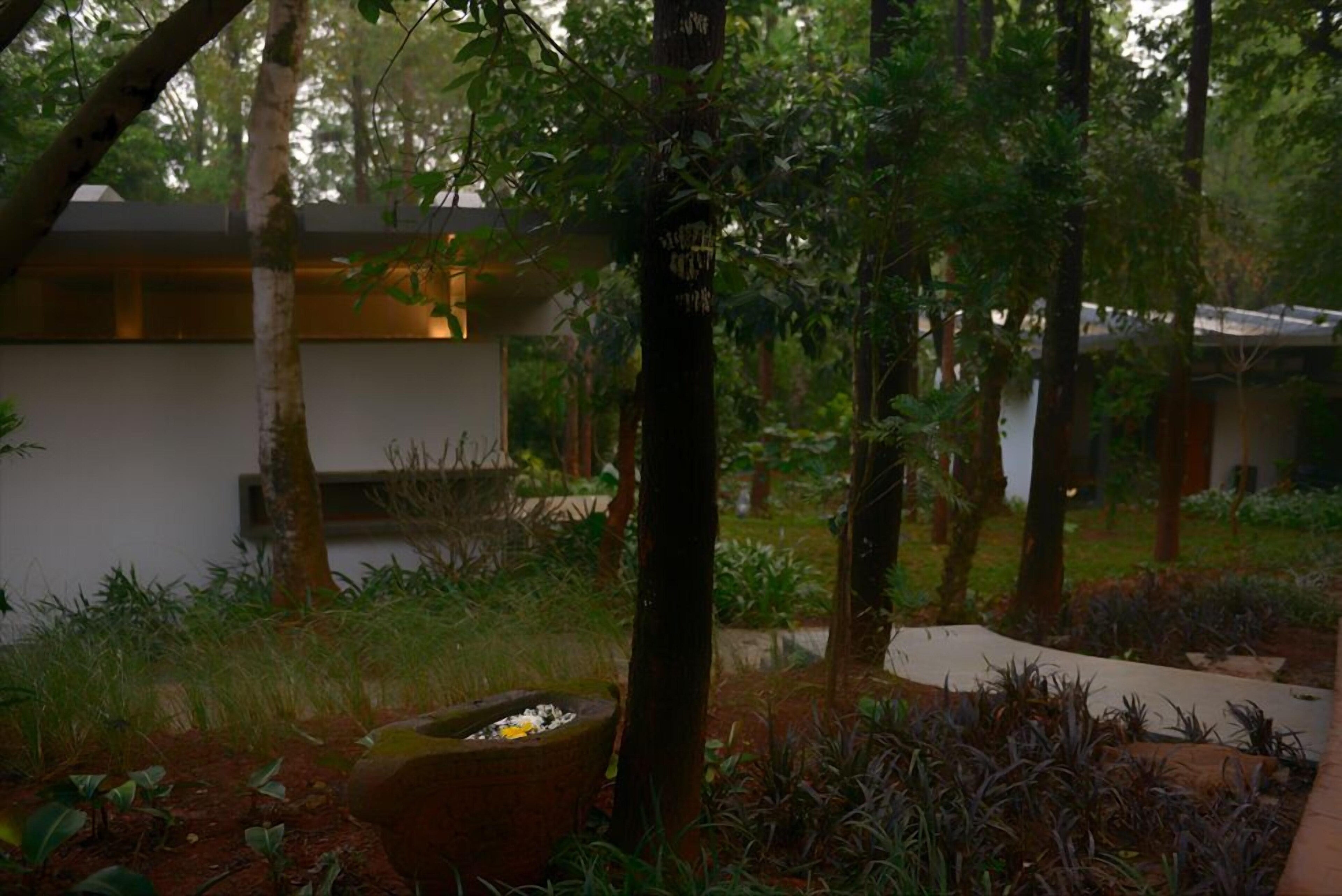 Java Rain Resorts