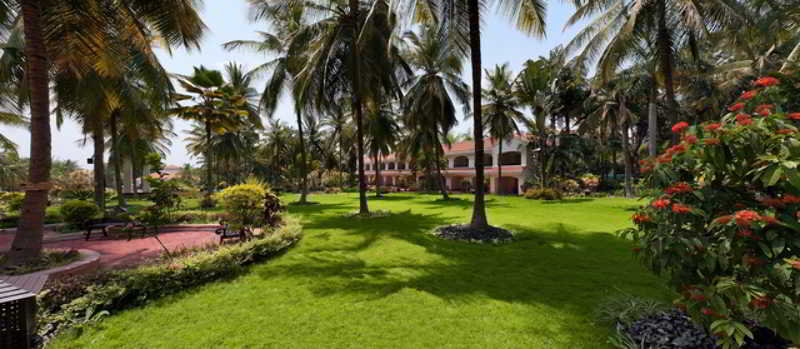 Golden Palms Hotel - Spa