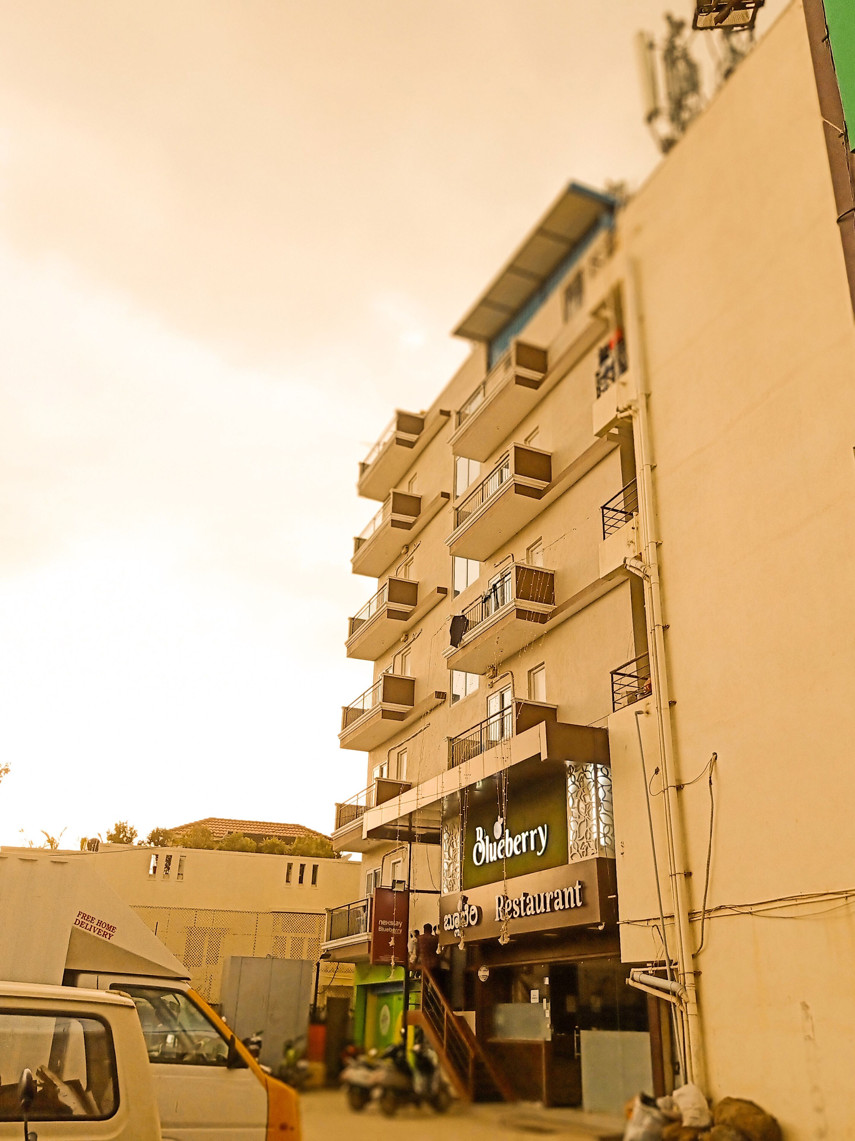 Nexstay Blueberry
