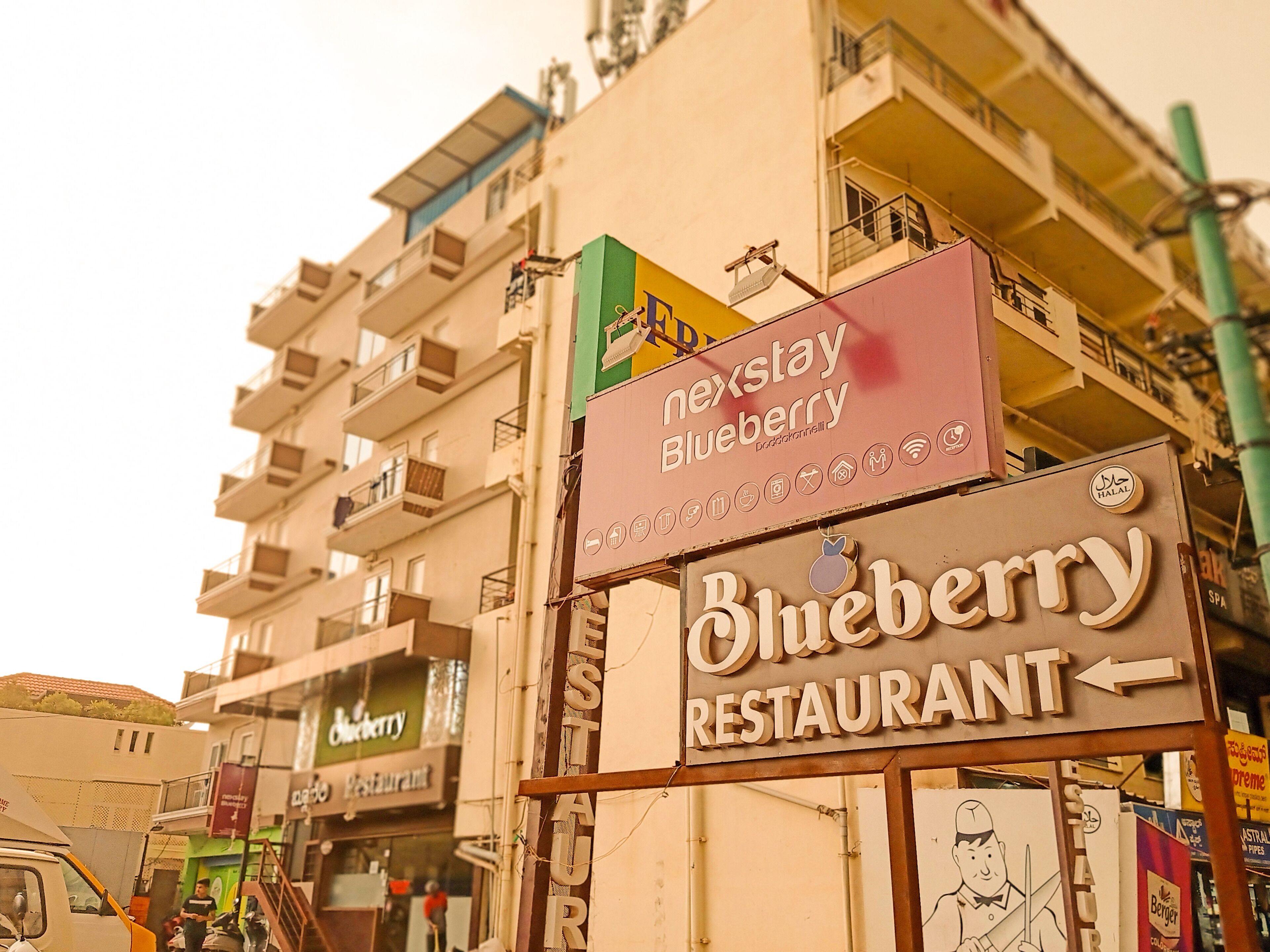 Nexstay Blueberry