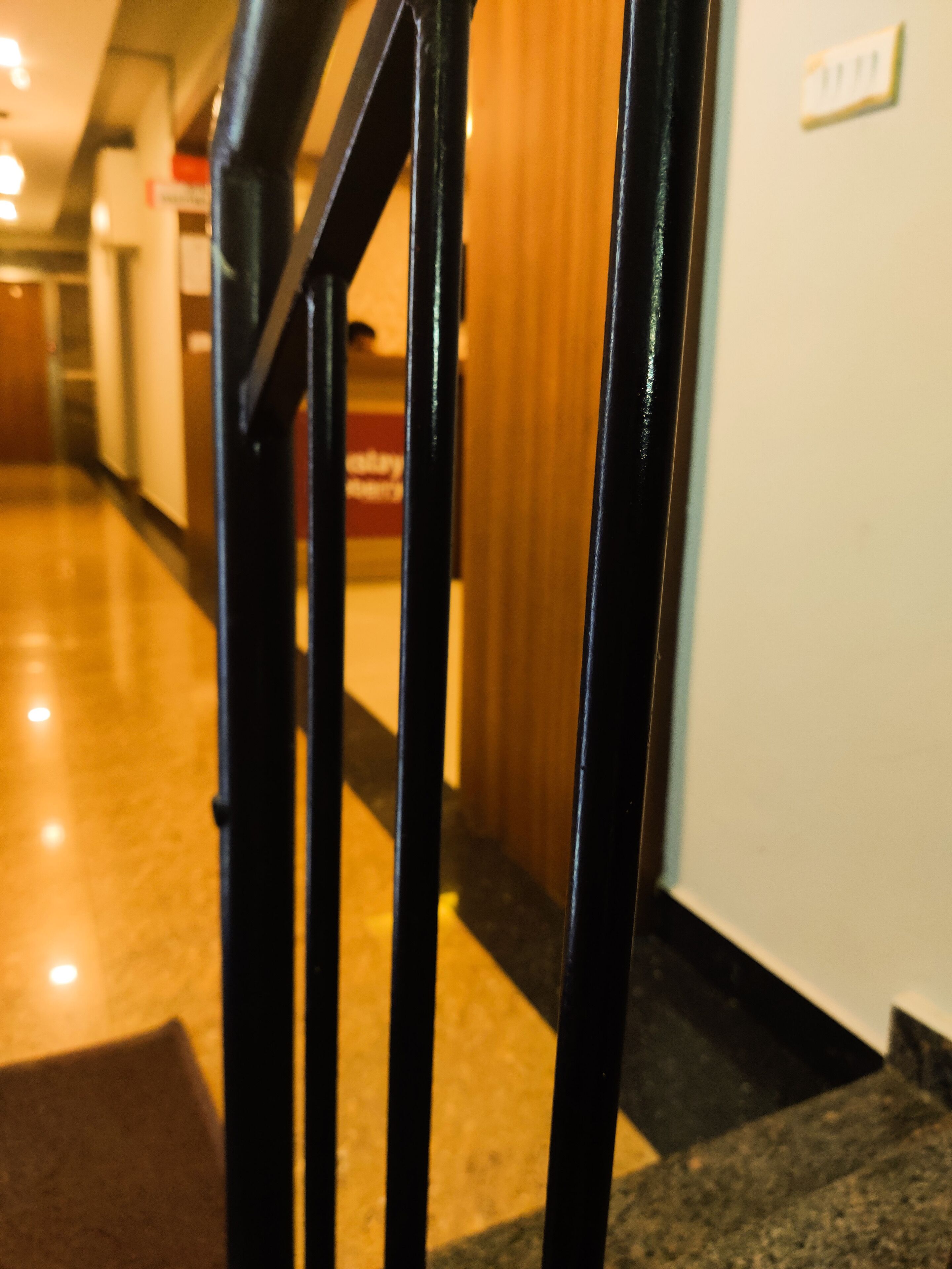 Nexstay Blueberry