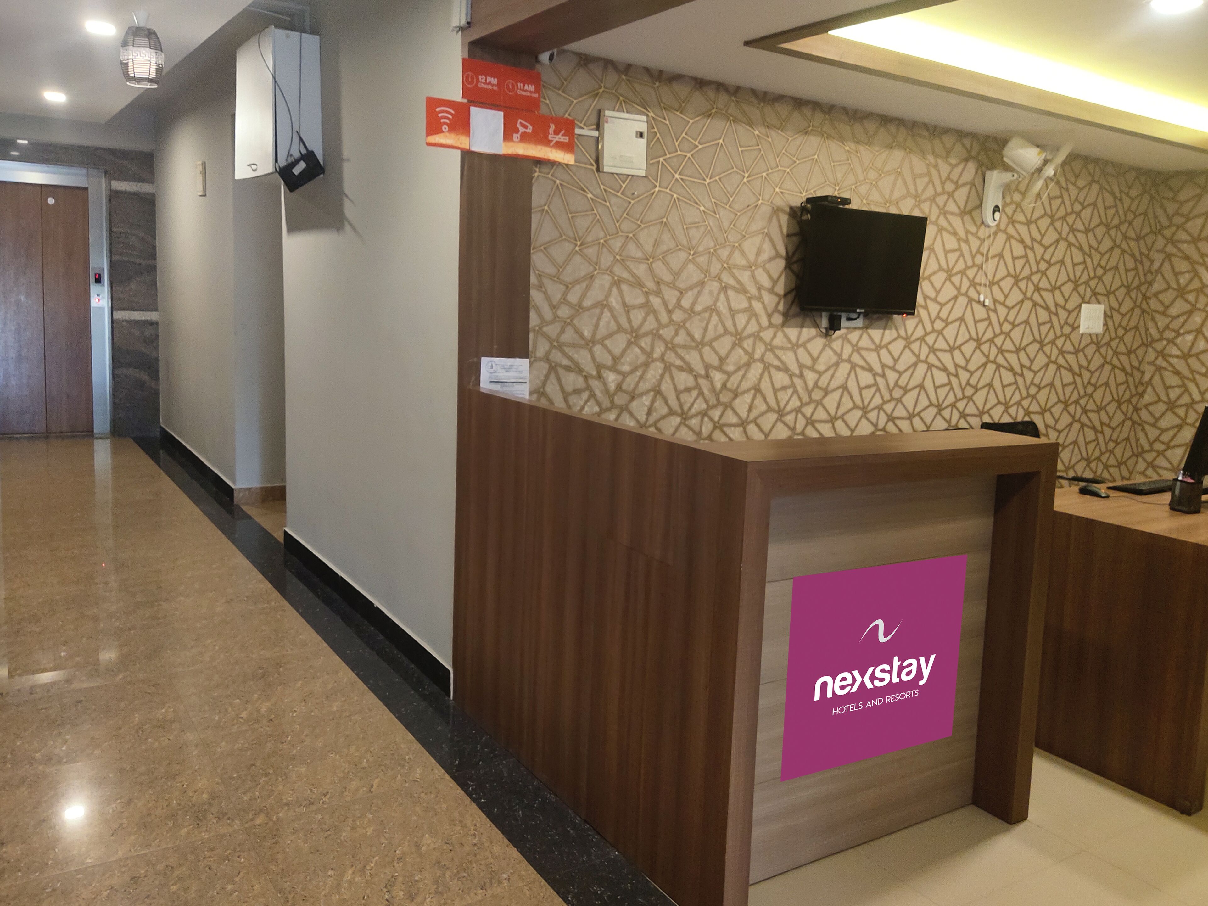 Nexstay Blueberry