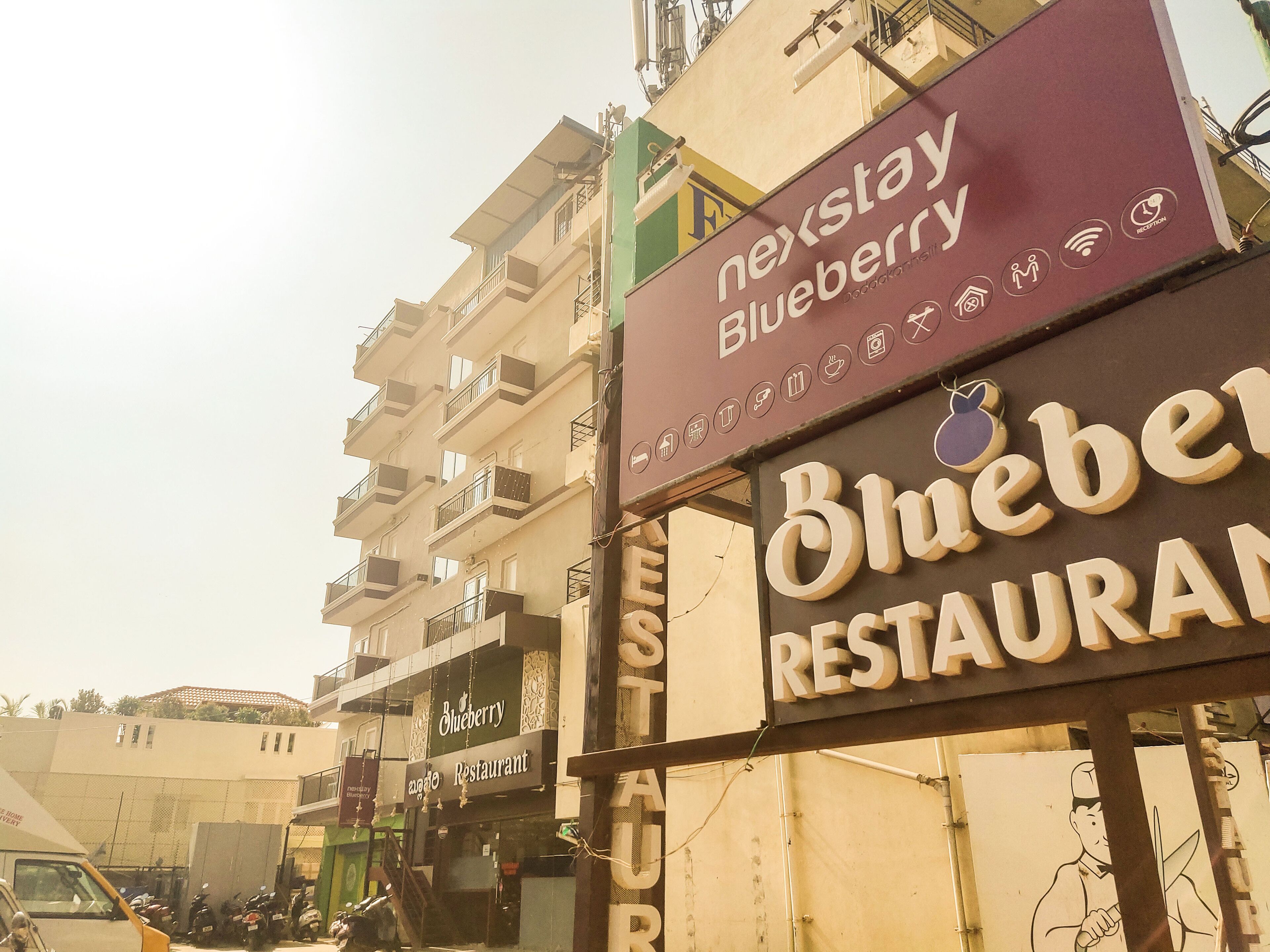 Nexstay Blueberry