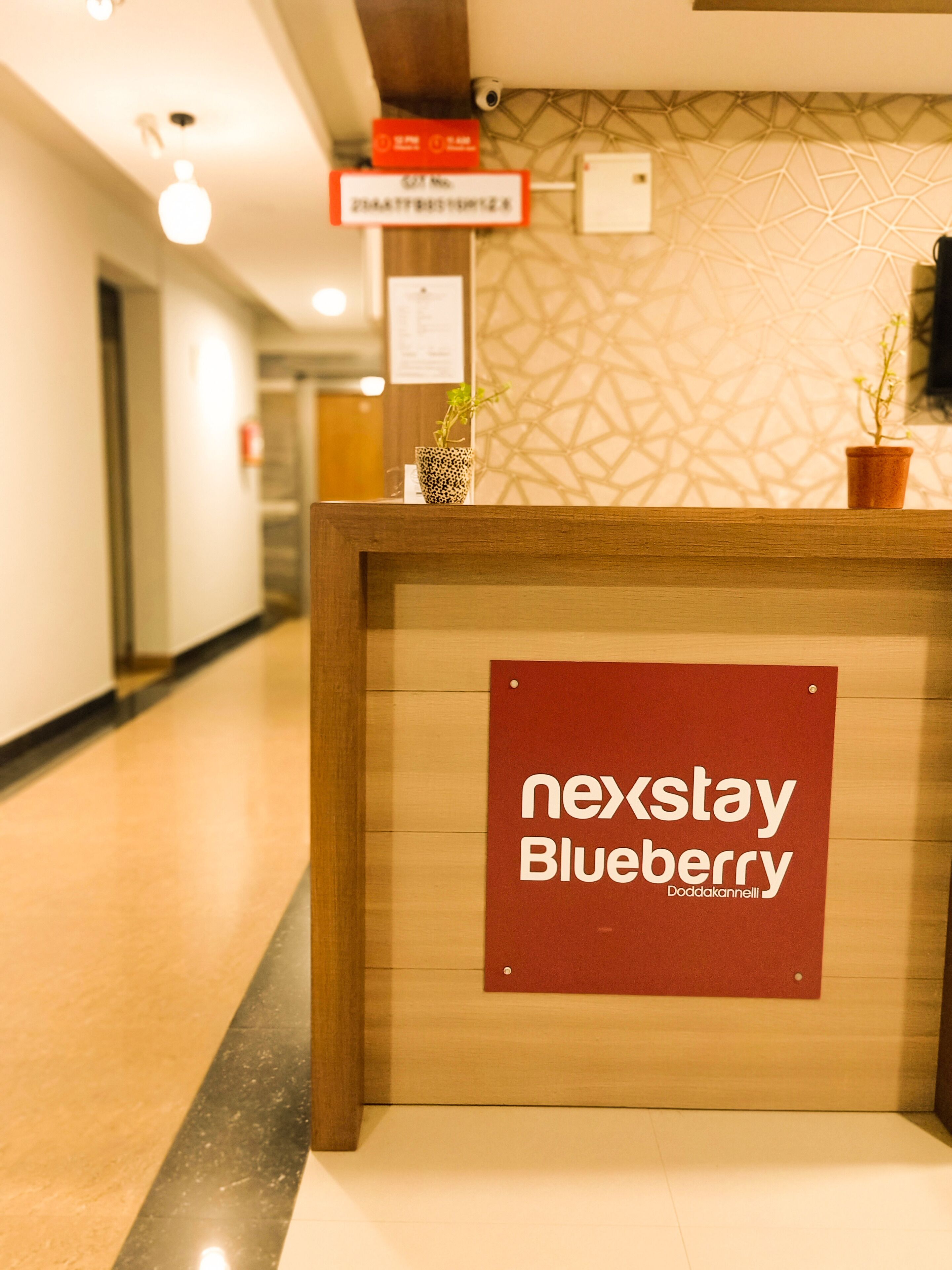 Nexstay Blueberry