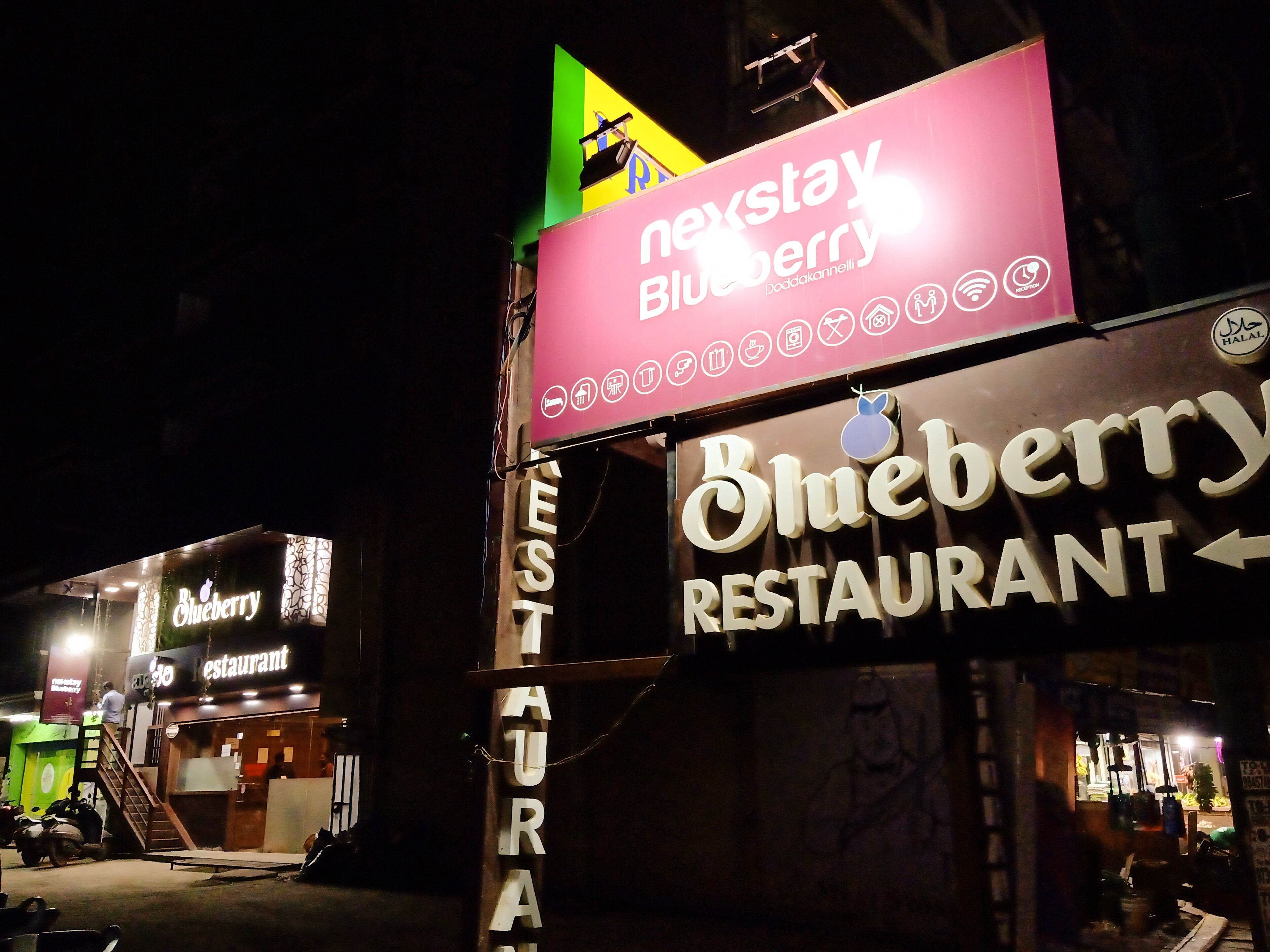 Nexstay Blueberry