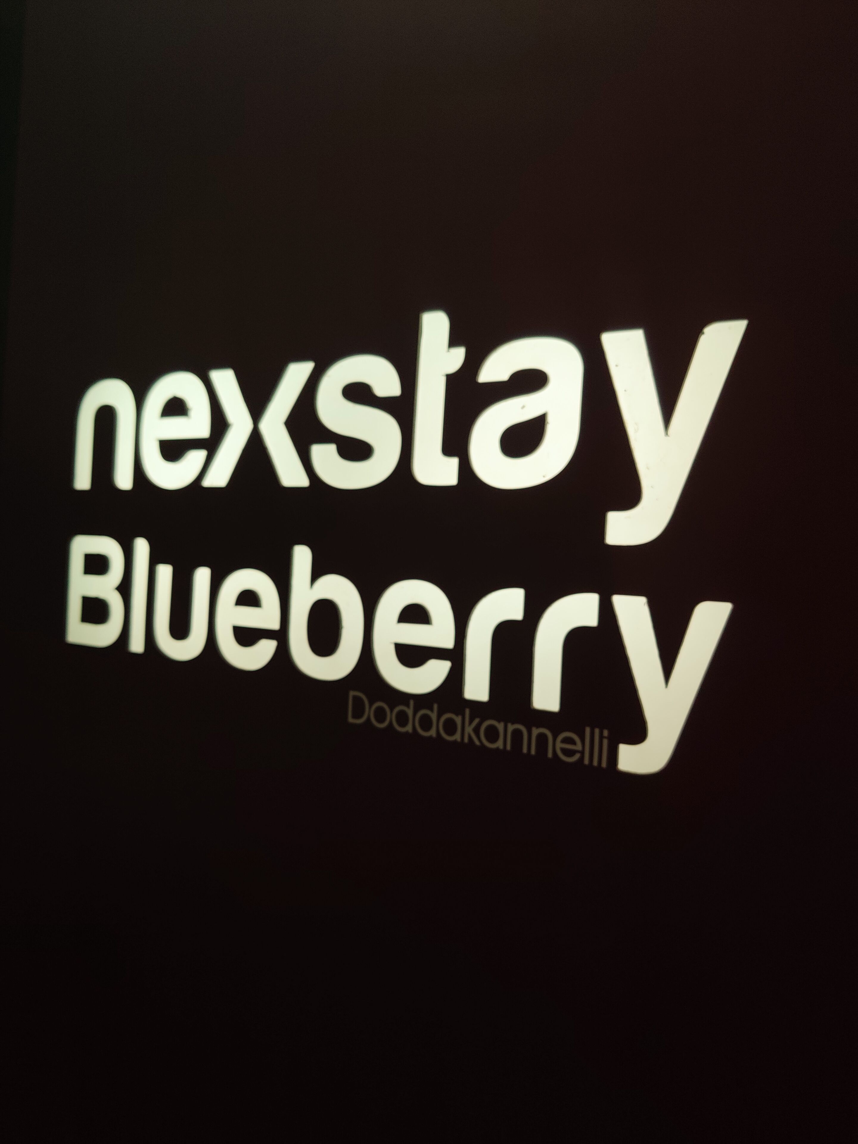 Nexstay Blueberry