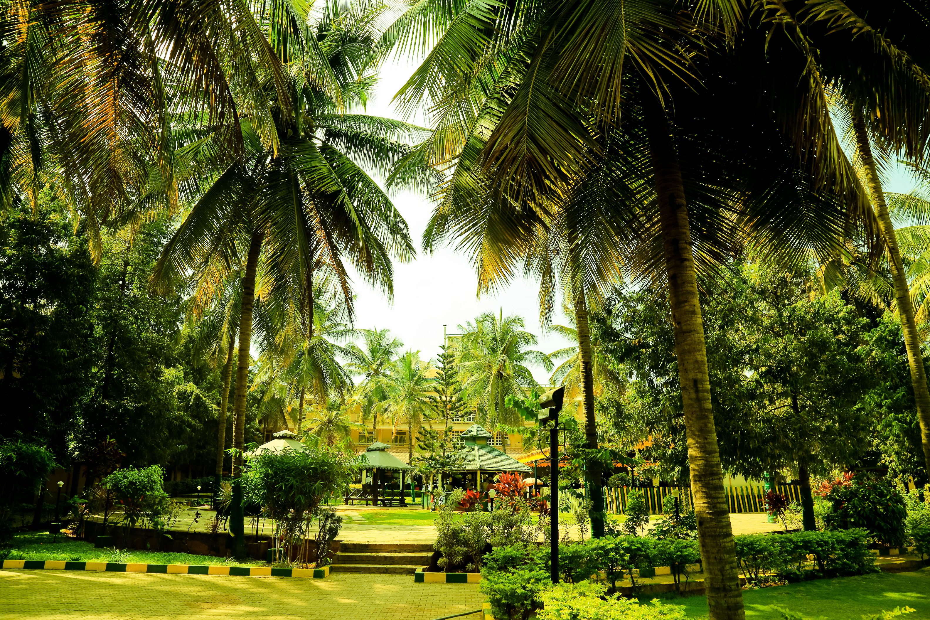 Royal Orchid Resort & Convention Centre, Bangalore
