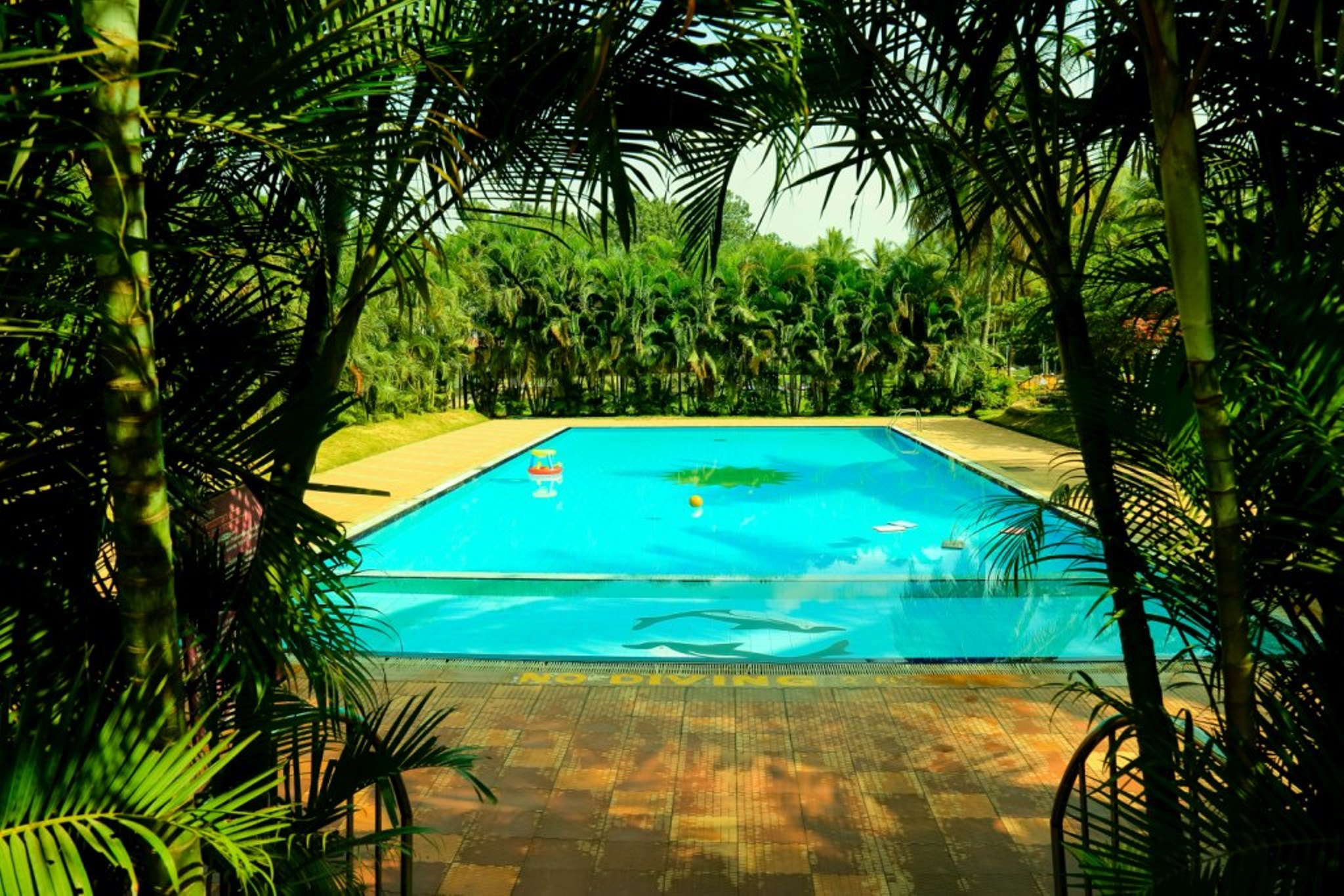 Royal Orchid Resort & Convention Centre, Bangalore