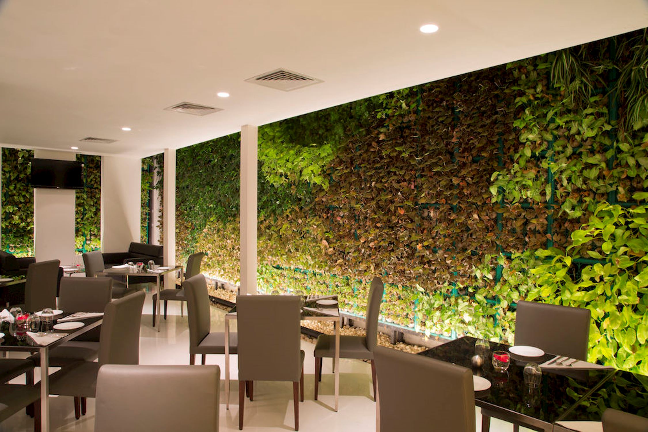 Springs Hotel And Spa Bangalor