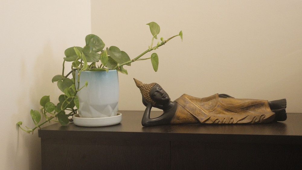 Tranquil Serviced Apartments