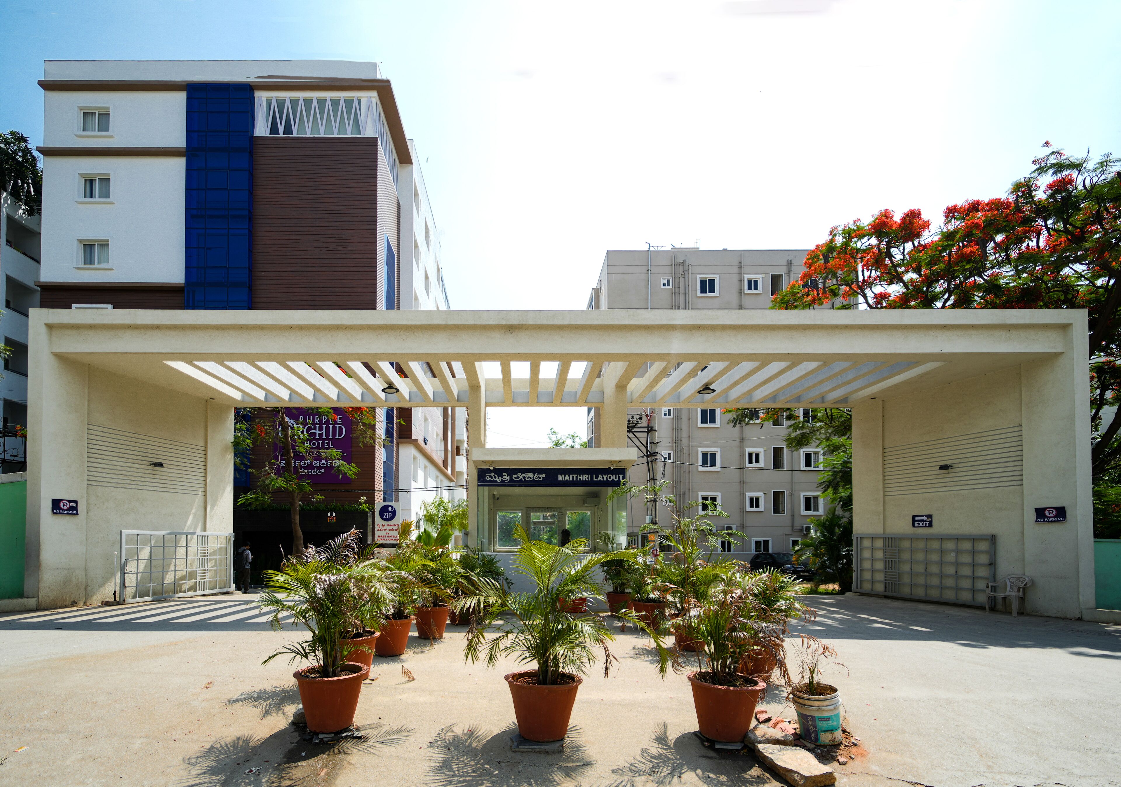 Zip By Spree Hotels Purple Orchid