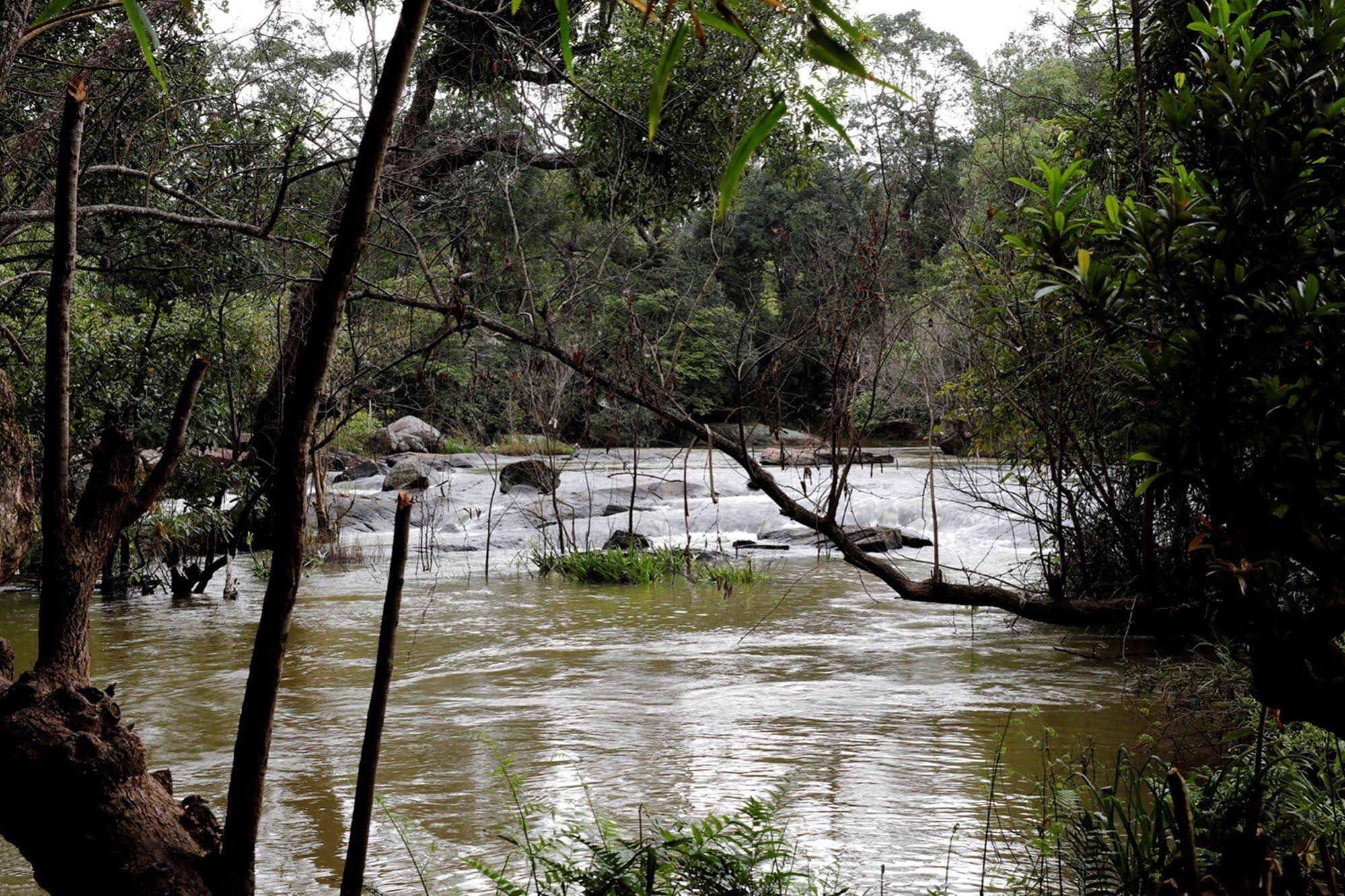 Amanvana Spa Resort - Coorg