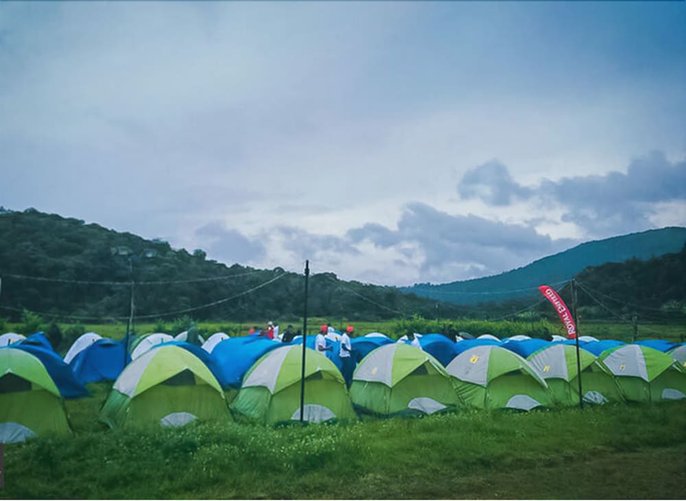 Jungle Mount Adventure Camp