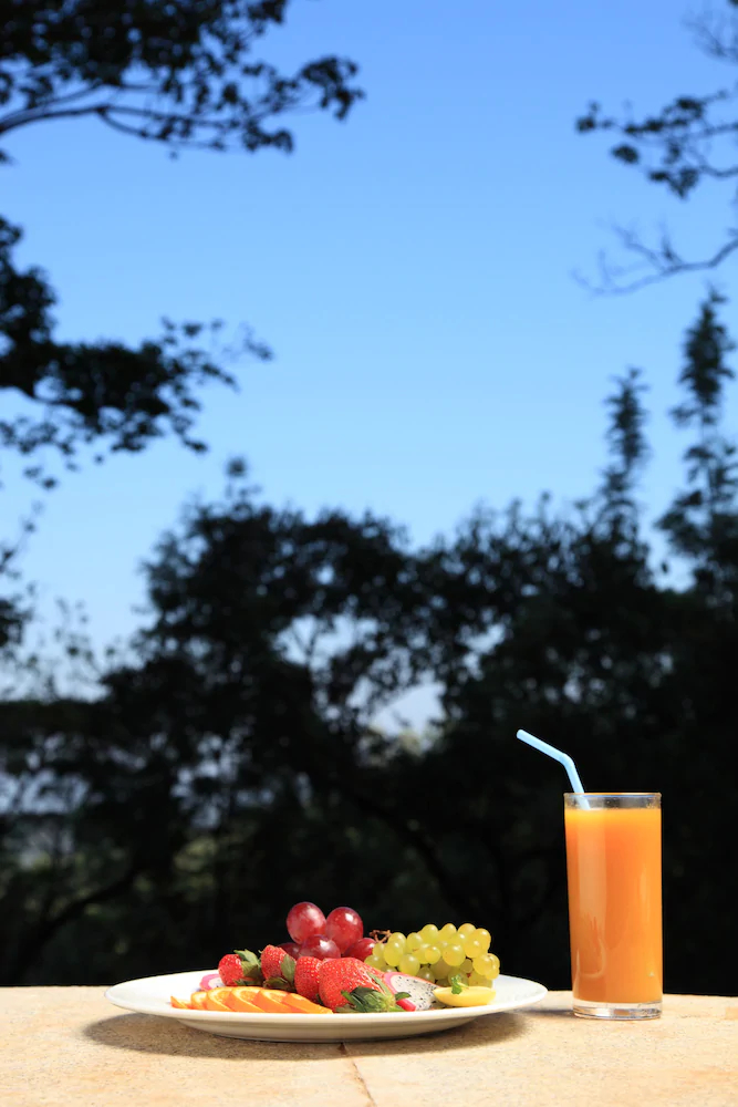 The Tamara  Coorg