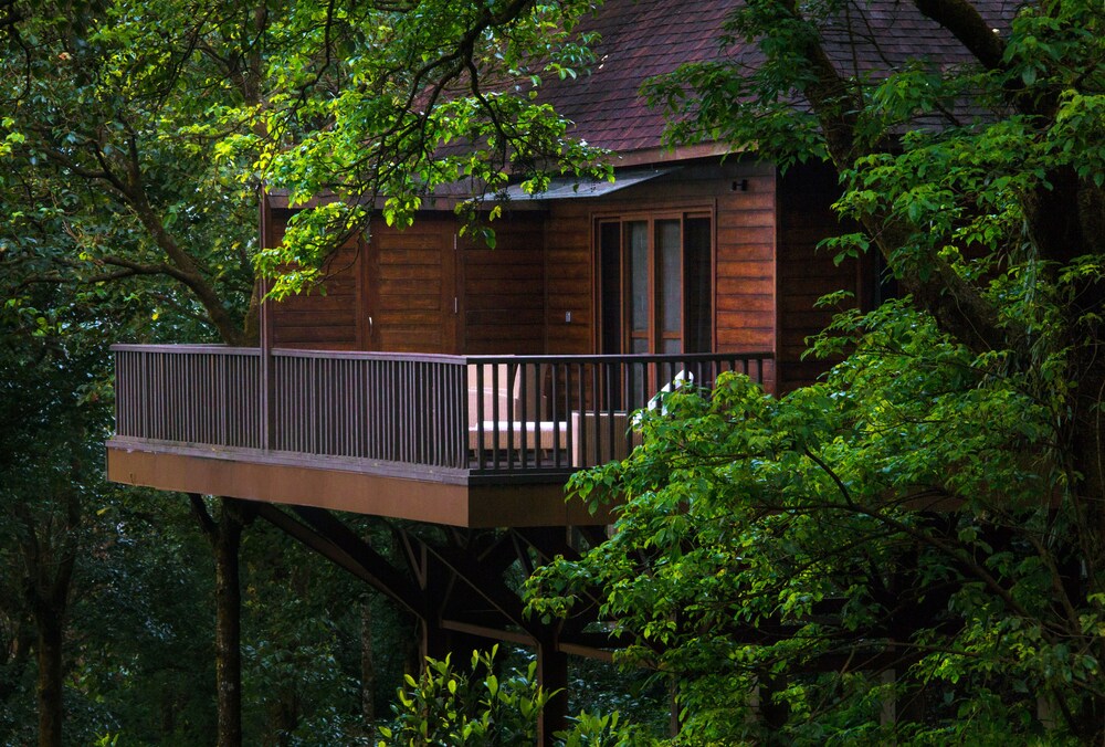 The Tamara  Coorg