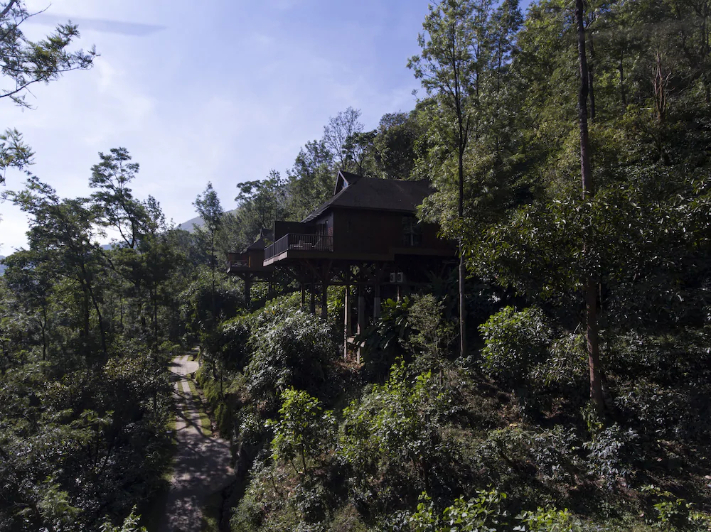 The Tamara  Coorg