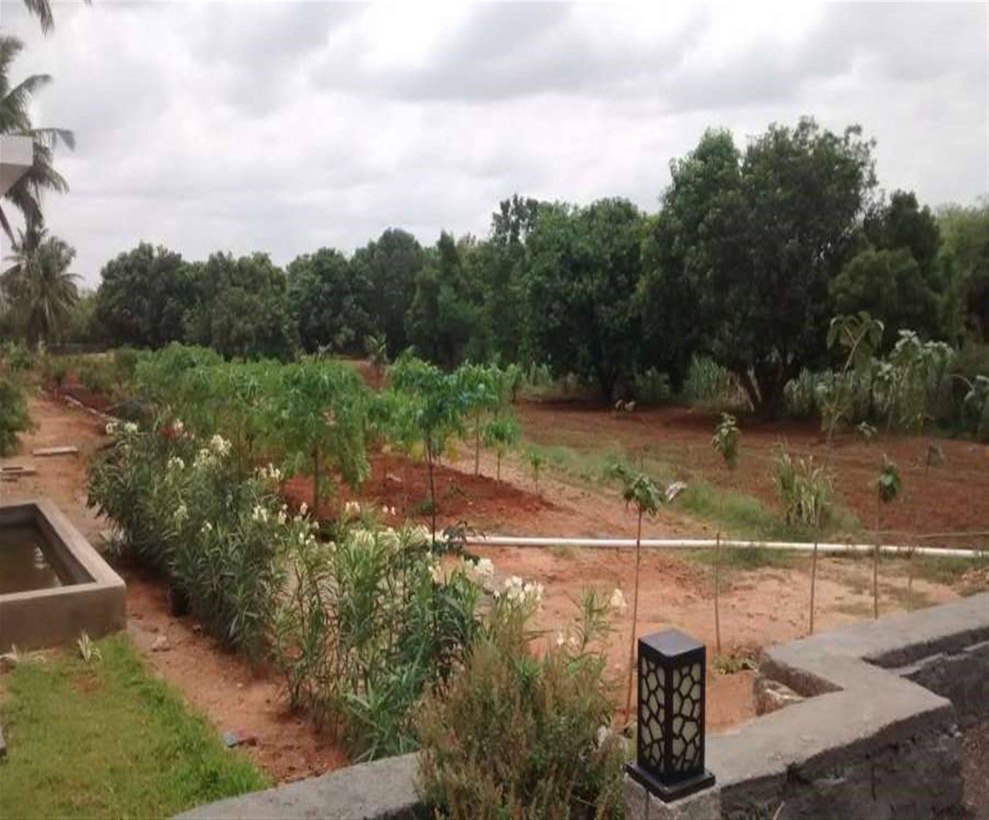 Hotel Heritage Resort Hampi