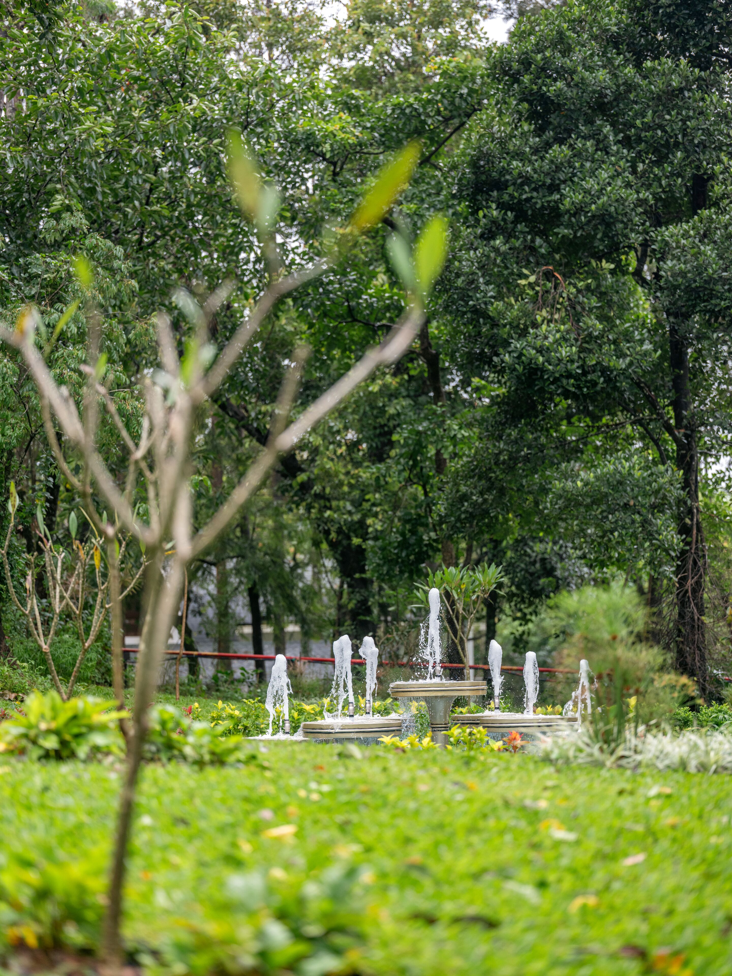 Coorg Marriott Resort & Spa